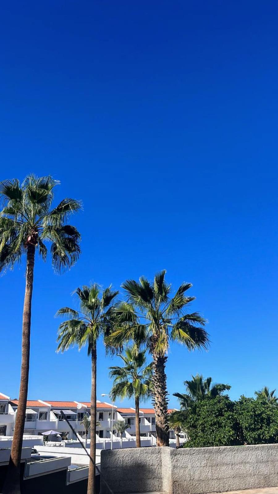 Las Americas - Garden City 阿德耶 外观 照片